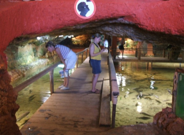  visitare l'acquario 